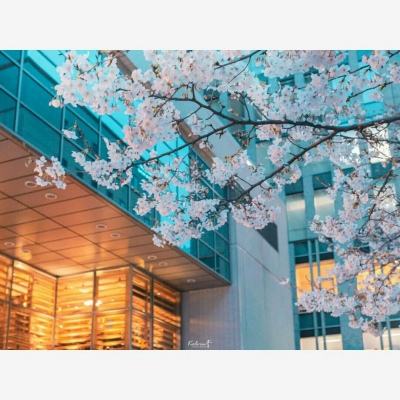 PG·麻将胡了app下载